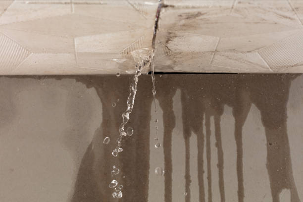 Professional Structural Drying technician working in Port Jefferson, OH